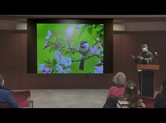 Thumbnail image for Thomas Crane Public Library Presents - Backyard Birding