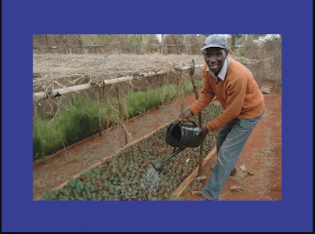 Thumbnail image for Travels with Jack #29 - Tanzania