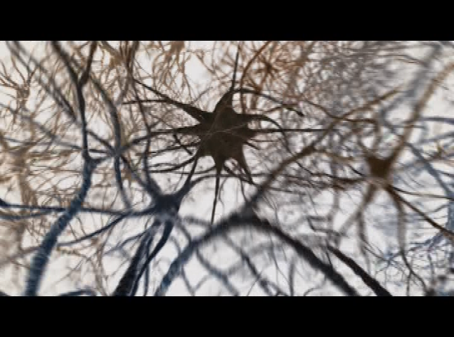 Thumbnail image for Mysteries of the Brain - Thinking Brain