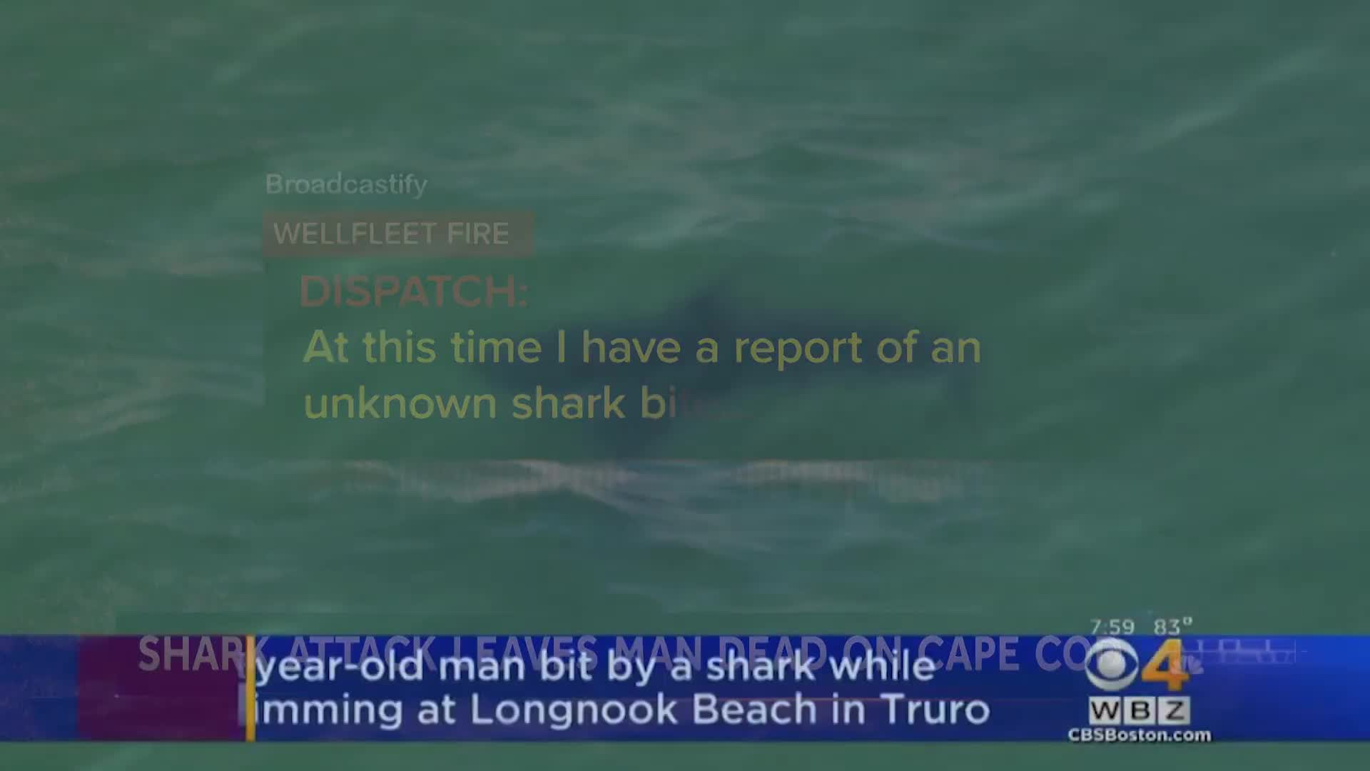 Thumbnail image for Cape Cod Sharks