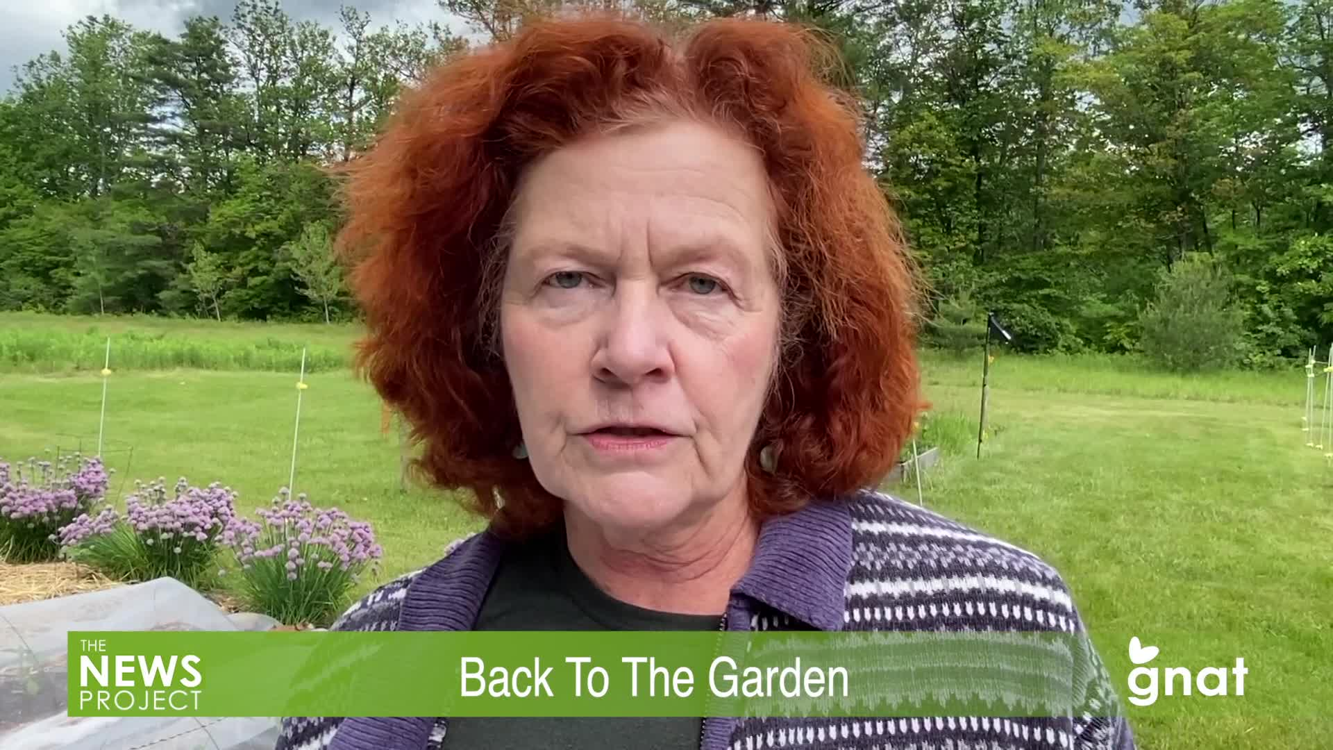 Thumbnail image for The News Project - Back To The Garden