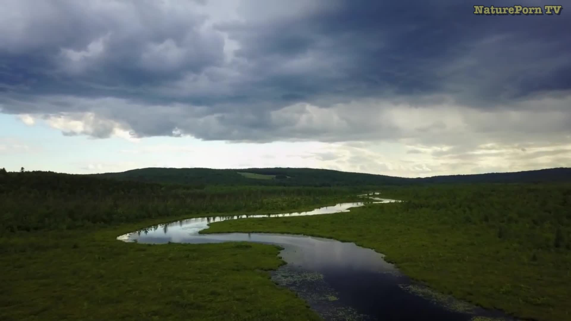 Thumbnail image for NatureTV - New England
